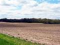 Free Field In Western Michigan Royalty Free Stock Images - 8499