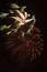 Free Fireworks Burst Stock Photography - 9972