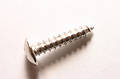 Free Isolated Screw Royalty Free Stock Photo - 16255