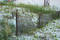 Free Fence In The Dunes Stock Images - 15294