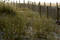 Free Fence In The Dunes Stock Photo - 15600