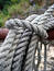 Free Ropes Stock Photos - 18313