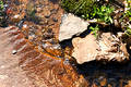 Free Close Up Of Stream Stock Images - 106074