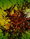 Free Abstract Nightmare Royalty Free Stock Photography - 106417