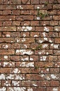 Free Old Weathered Red Brick Wall Royalty Free Stock Photos - 1002998