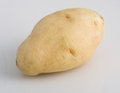 Free Potato Royalty Free Stock Photo - 1003555