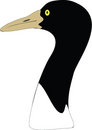 Free Crane Stock Photography - 1008932