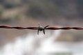 Free Strand Of Barbed Wire Royalty Free Stock Photo - 1009745