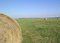 Free Bales Of Hay Royalty Free Stock Photography - 1003797