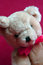 Free Cute Teddy Bear Royalty Free Stock Photography - 10087917