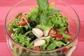 Free A Fresh Olive Salad Stock Photos - 1010293