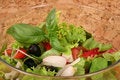 Free Dietary Salad Royalty Free Stock Images - 1010319