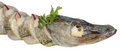 Free Pike On Plate Stock Photos - 1010803
