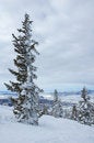 Free Colorado Stock Photo - 1011130