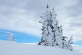 Free Colorado Stock Image - 1011171
