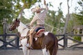 Free Man On Horse Back Stock Image - 1012301