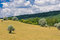 Free Rural Landscape Stock Photos - 10103043
