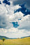 Free Rural Landscape Royalty Free Stock Image - 10107886