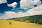 Free Rural Landscape Royalty Free Stock Images - 10107899