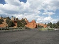 Free Dixie National Forest Royalty Free Stock Image - 1022556