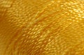 Free Orange String Royalty Free Stock Photo - 1022935