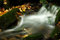 Free Autumn Stream In Giant Mountains Royalty Free Stock Photos - 1024818