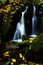 Free Autumn Stream In Giant Mountains Royalty Free Stock Images - 1024969