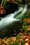 Free Autumn Stream In Giant Mountains Royalty Free Stock Images - 1025129