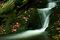 Free Autumn Stream In Giant Mountains Royalty Free Stock Images - 1025149