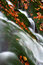 Free Autumn Stream In Giant Mountains Royalty Free Stock Photos - 1025298