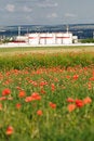 Free Oil Storage At Poppy Field Stock Photos - 10263913
