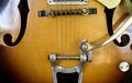 Free Electric Guitar Hollow Body Royalty Free Stock Photography - 1031647