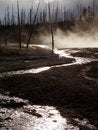 Free Hot Spring Royalty Free Stock Images - 1034769