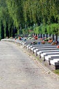 Free Graveyard Royalty Free Stock Photo - 1036795