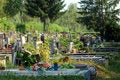 Free Graveyard Royalty Free Stock Photo - 1036805