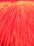 Free Brilliant Color Background 7 Stock Image - 1034261