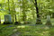 Free Old Country Cemetery Royalty Free Stock Photos - 1034288