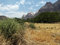 Free Zion National Park Canyon Valley Stock Photography - 1037672