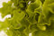 Free Salad3 Royalty Free Stock Photography - 1038307