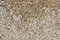 Free Stones Getting Wet From Above Stock Image - 1039571