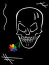 Free Skull Stock Image - 10346271