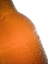 Free Cold Beer Stock Image - 1040641