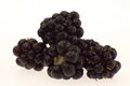 Free Berry Stock Images - 1042924