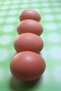 Free Eggs Stock Image - 1044801