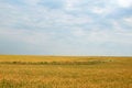 Free Landscape 2 Royalty Free Stock Photography - 1047367