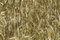 Free Golden Wheatfield 1 Stock Photography - 1042102