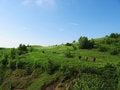 Free Hiking_3 Stock Photography - 1053062