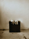 Free The Gloves Are Off Royalty Free Stock Photography - 1056167