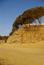 Free Beach Backyard Stock Photo - 1057000