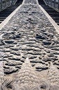 Free Emperor S Path Stock Photography - 1063402